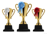 九游VIP-关于突破瓶颈，以出色表现夺得奖牌的信息