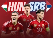 九游体育-瑞士险胜保加利亚，锁定欧洲杯正赛资格的简单介绍