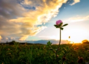 九游体育-纳贡受伤，突破困境艰难