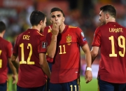 九游娱乐网页-包含欧洲杯：波兰不敌瑞典，斯洛伐克险胜西班牙的词条