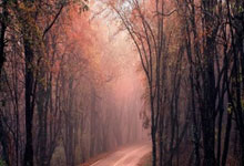 9you娱乐-捷克VS英格兰：绿茵盛宴即将开启！球员期待快乐足球