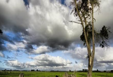 九游娱乐入口-卡尔蒂斯主场迎战恩菲尔德，锋线火力引爆看点