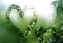 九游体育官方入口-阿姆斯特丹的雨夜：当青春风暴撞上冰冷现实，阿贾克斯的欧冠童话戛然而止