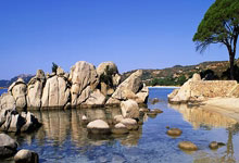 九游娱乐-阿尔艾因替补席深度成优势，冲击世俱杯冠军