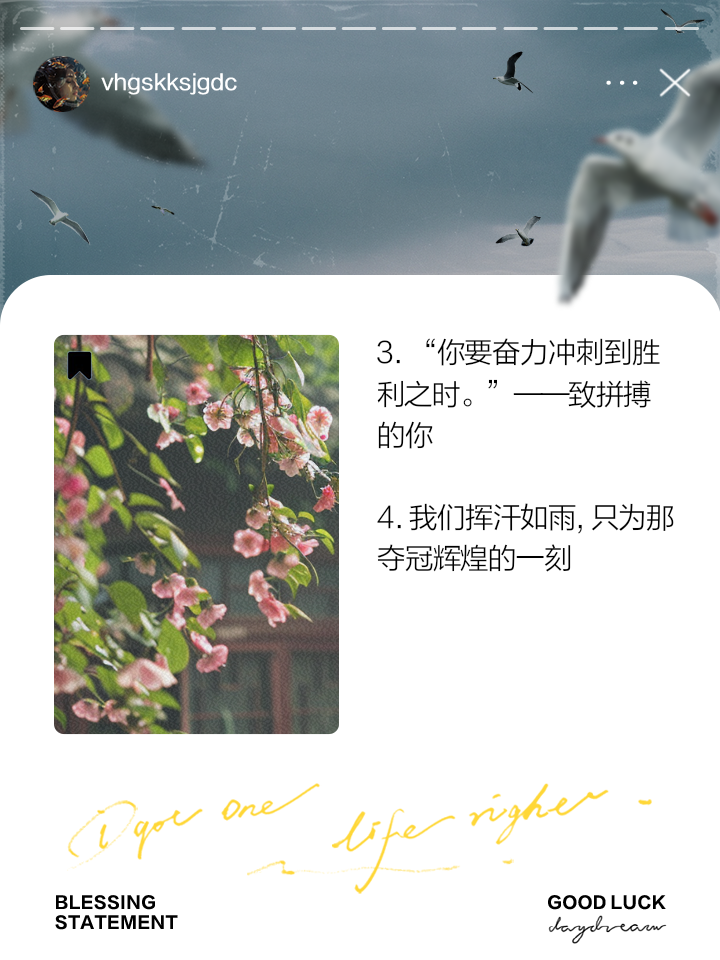 捍卫荣誉，争夺胜利，运动员们的拼搏之路