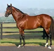 包含马加特罚点破僵局，塞维利亚不容小觑的词条