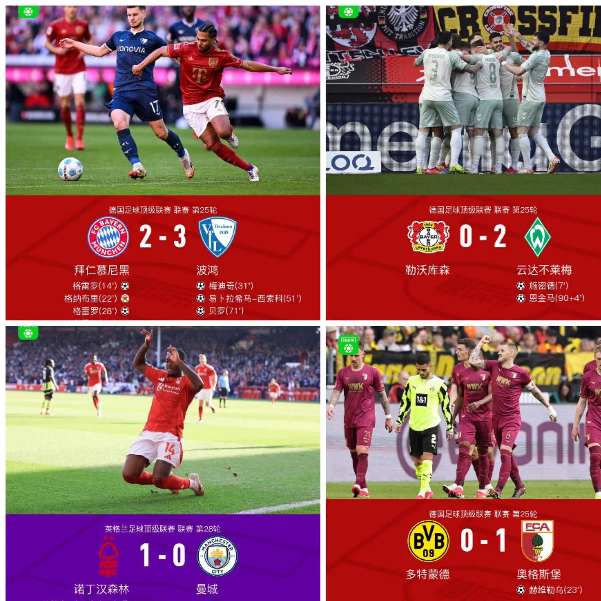 比利时球迷热情支持，球队备战下一场的简单介绍