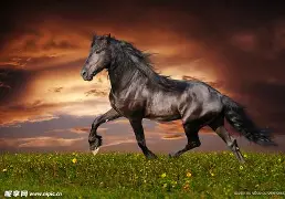 黑马崛起：埃尔巴R利亚战胜加的斯