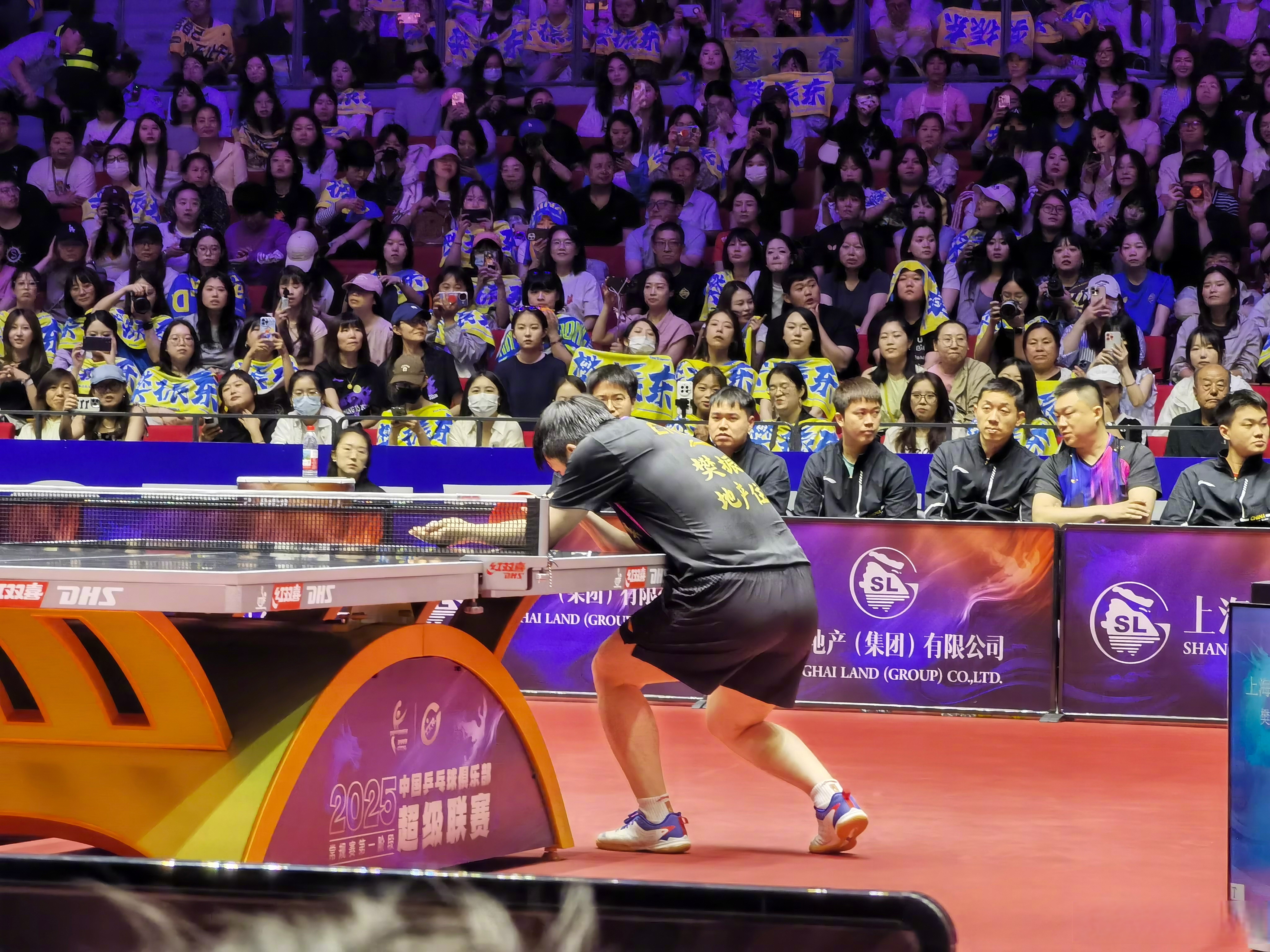 包含中国乒乓球队完胜瑞典乒乓球队，波尔关键制胜的词条